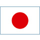 日本女足队