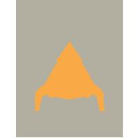 Team Vitality