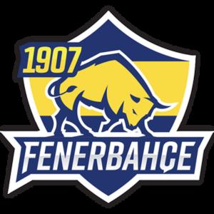 1907 Fenerbahce Esports