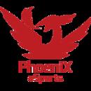 Phoenix Esports球队图片
