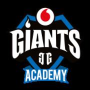 Vodafone Giants Academy球队图片