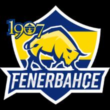 Fenerbahce Academy球队图片