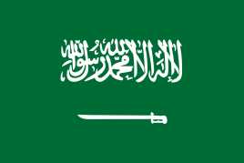 沙特(Salahdin Said Ahmed)