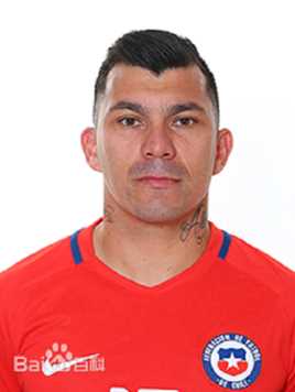  加里·梅德尔(Gary Medel)