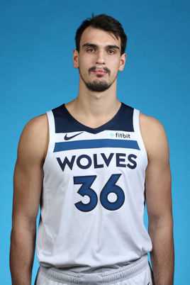 达里奥-沙里奇(Dario Saric)